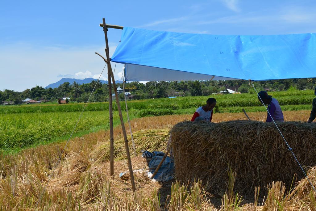 Koto Hilalang Homestay Bukittinggi Bagian luar foto