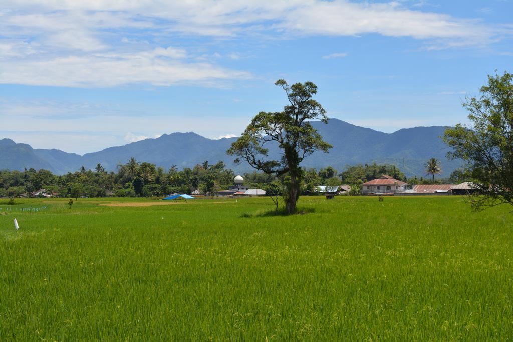 Koto Hilalang Homestay Bukittinggi Bagian luar foto