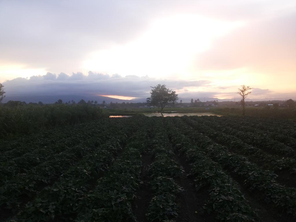 Koto Hilalang Homestay Bukittinggi Ruang foto